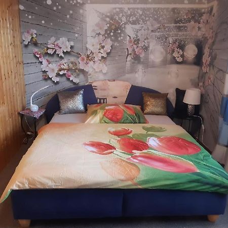 App Tony Beroun Apartment Beroun  Luaran gambar